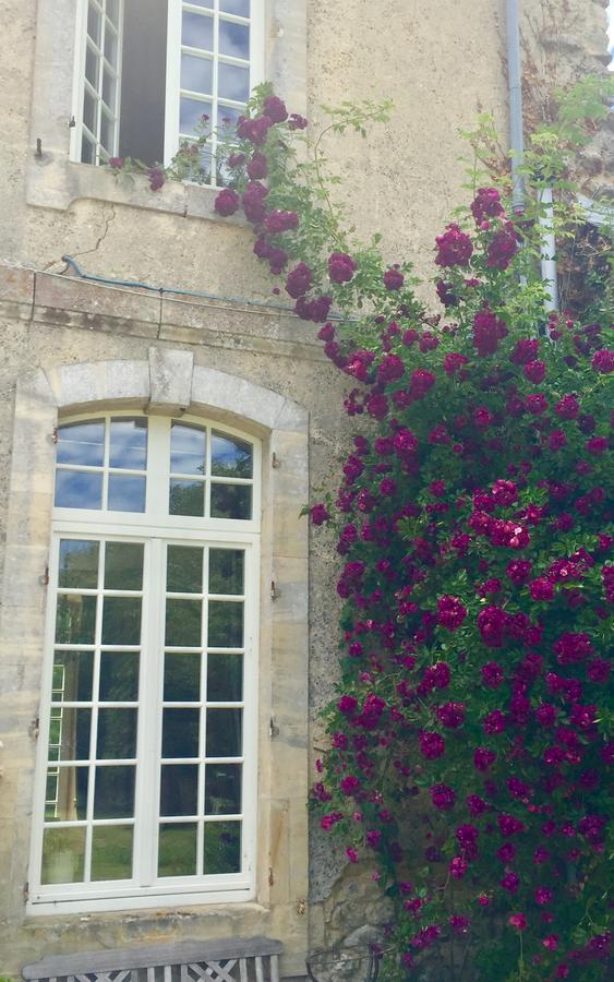 L'Orangerie Du Grand Jardin Villa Conde-sur-Seulles Ngoại thất bức ảnh